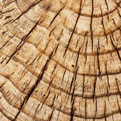 Indoor/Outdoor Faux Concrete Stump Accent Table Brown - Threshold™ Designed With Studio McGee 11 Indoor/Outdoor Faux Concrete Stump Accent Table Brown - Threshold™ Designed With Studio McGee -Furniture Supplies Store GUEST 03deabfd 2b62 4725 94b4 09a321ea8678