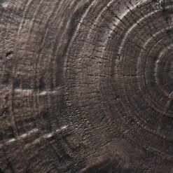 Grantsville Drum Accent Table Black - Threshold™ Designed With Studio McGee -Furniture Supplies Store GUEST 2a48e59f 9a1e 4d95 a641 6710dbd36ebe