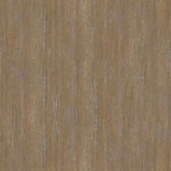 Catonsville Barrel Chair - Threshold™ 12 Catonsville Barrel Chair - Threshold™ -Furniture Supplies Store GUEST 9597a6cf 0ff5 42a1 9afe fd0d08737843